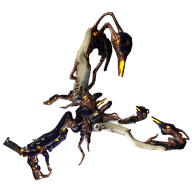 Paracyst